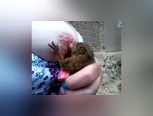 Moments of pleasure shared between man and animal