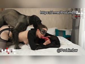 Tierausbeutung: Der Hund zerschmettert sie, neues Video