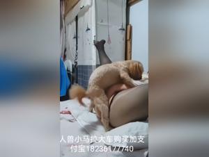 pornovolk delves into extreme extremes