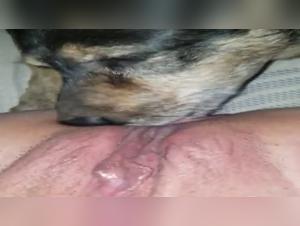 Hardcore bestiality scenes with dogs