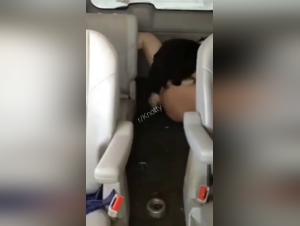 Bestiality Sex Video: An Exciting Experience