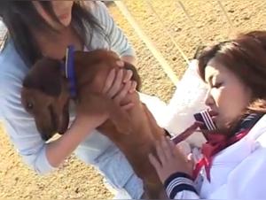 Extreme Moments between Japanese Girls and their Little Dogs