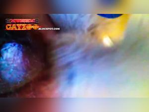 Hardcore animal sex videos for zoophilia and bestiality lovers