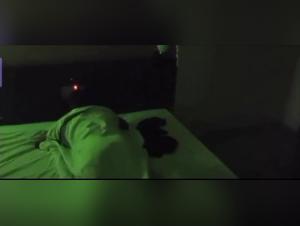 Vidéo de zoophilie extrême avec des chiens et d'autres animaux