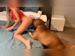 Sperma und Creampie: Der Hund nutzt das arme Madchen aus