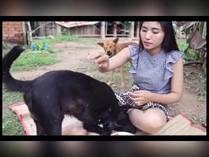 Sex videos with dogs: discover the extreme