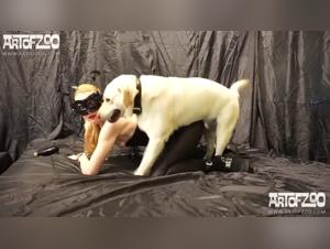 Tabu infranti: rivelazioni indecenti di scopate di animali con Hector