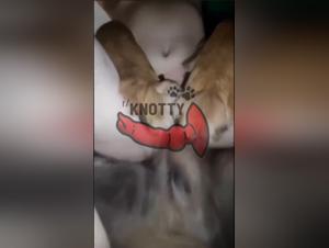 Boundaries Blurred, Desires Unleashed