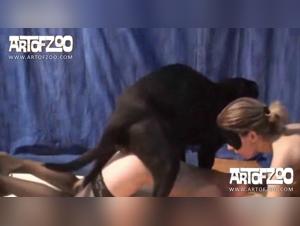 Tierisches Vergnugen: Entdecken Sie die Grenzen des Vergnugens in dieser Hardcore-Show
