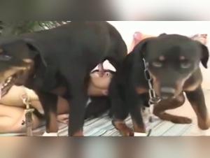 Part 1: Brutal Fuck with Dog