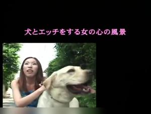 Bestiality sex video with Asian woman