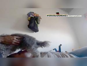 Hard and extreme zoophilia scenes