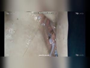 An unexpected meeting with a four-legged friend