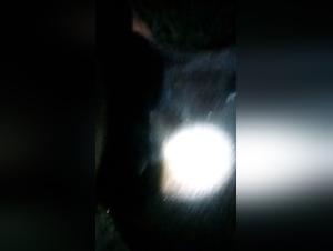 Compilations Exclusives et Exploration Detaillee