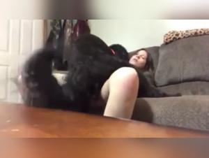 Experience Extreme Sex with a Dog in our Latest Webcam2 Video