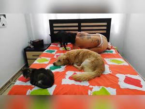 The Laughter-Inducing Dog Sex Video