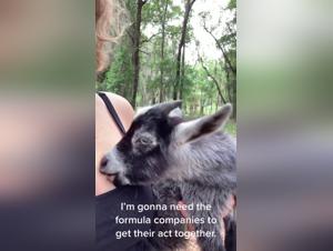 denise frazier videon