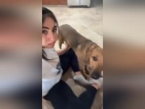 Watch this sex scene with a dog that will make you shiver