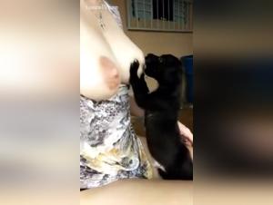 Dog Sex Videos: A New Trend in Extreme Porn