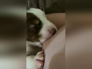 Explora los tabues del bestialismo y el sexo extremo