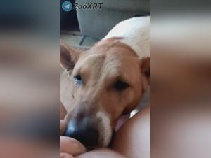 Fetisismo animale estremo, scopa selvagge e dominanti