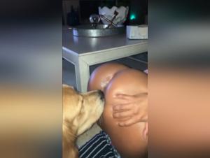 Explore the Extreme World of Bestiality