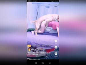 L'Art de la Bestialité : Une Femme et Son Ami à Quatre Pattes