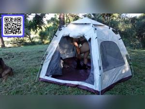 Animal Porn: Unveiling Hidden Realities