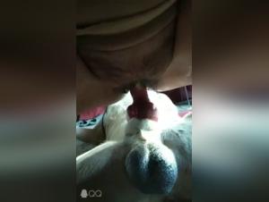 Bestiality Video: Discover the Art of Zoophilia