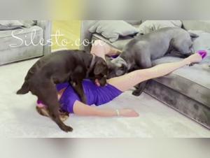 Intense bestiality sex scene - Zoophilia video