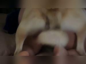 Vidos de salopes qui baise avec chien