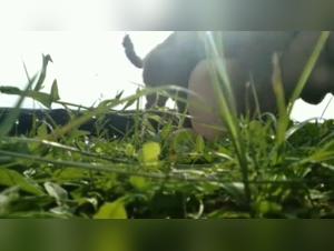 Intense and Extreme Moments Outdoors