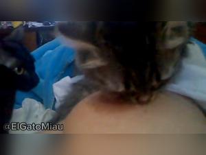 forbidden desires explored