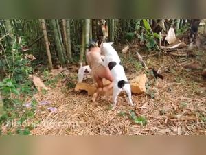 Alison fait l'amour avec son chien, une video porno pour homme