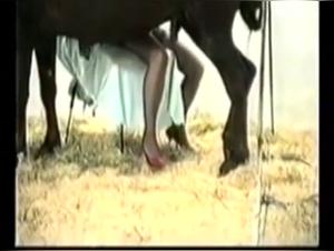 Explore the Limits of Passion in this Bestiality Sex Video