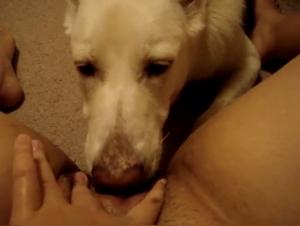 Discover the Ecstasy of Zoophilia