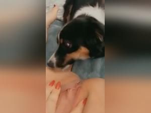 Video of Extreme Zoophilia