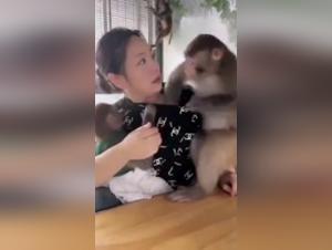 Zoophilia video: sex with a dog