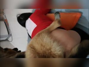 Bestiality: Explore Ultimate Ecstasy