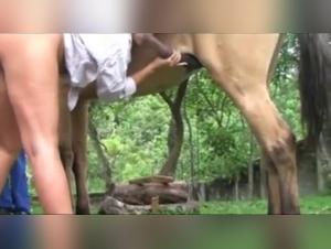 Brutales Stampfen mit Tieren: Wilde Ejakulationen und Dominanz