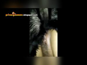 Intense moments of zoophilia with a dog