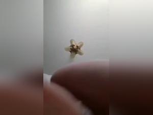 Watch part 4 of this dog sex series