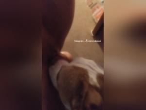 Esplorazione della lussuria bestiale: donne scatenate, puro godimento