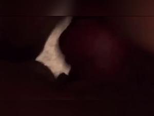 free beastiality movies