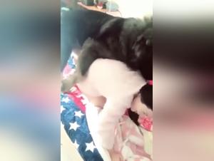 Bestiality sex video with mature Asian woman and her dog