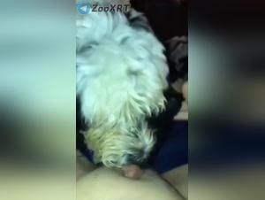 Bestial delights: suck, devour, explosive cum