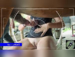 bestiality meaning zoo filia