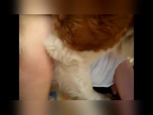 Extreme bestiality scene with a teenager