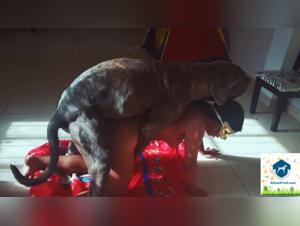 Passione canina: scopata selvaggia e spietata