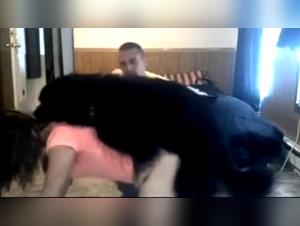 Discover the Forbidden Pleasures of Bestiality